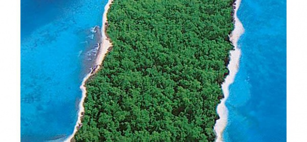 Absolute Paradise