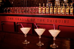 HAVANA CLUB