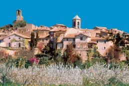 Ricard
